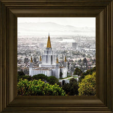 Load image into Gallery viewer, Oakland 07
