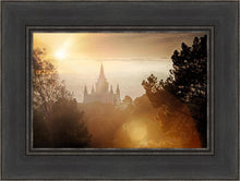 Load image into Gallery viewer, Oakland 11
