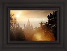 Load image into Gallery viewer, Oakland 11
