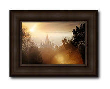 Load image into Gallery viewer, Oakland 11
