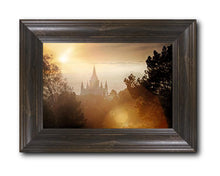 Load image into Gallery viewer, Oakland 11
