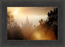 Load image into Gallery viewer, Oakland 11

