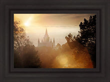 Load image into Gallery viewer, Oakland 11
