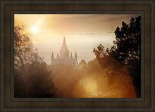 Load image into Gallery viewer, Oakland 11

