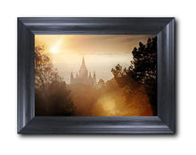 Load image into Gallery viewer, Oakland 11
