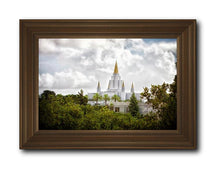 Load image into Gallery viewer, Oakland Side
