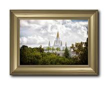 Load image into Gallery viewer, Oakland Side
