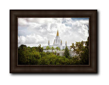 Load image into Gallery viewer, Oakland Side
