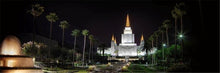 Load image into Gallery viewer, Oakland 05 Gallery Wrap
