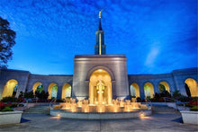 Load image into Gallery viewer, Sacramento 03 Gallery Wrap
