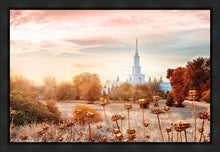 Load image into Gallery viewer, Sacramento 06 Gallery Wrap
