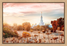 Load image into Gallery viewer, Sacramento 06 Gallery Wrap
