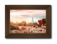 Load image into Gallery viewer, Sacramento 06
