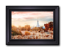 Load image into Gallery viewer, Sacramento 06
