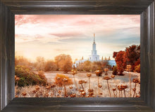 Load image into Gallery viewer, Sacramento 06
