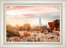 Load image into Gallery viewer, Sacramento 06
