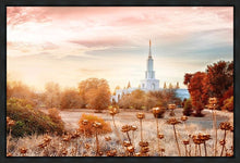 Load image into Gallery viewer, Sacramento 06 Gallery Wrap
