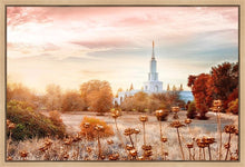 Load image into Gallery viewer, Sacramento 06 Gallery Wrap
