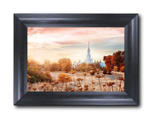 Load image into Gallery viewer, Sacramento 06
