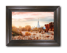 Load image into Gallery viewer, Sacramento 06
