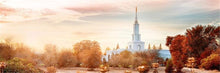 Load image into Gallery viewer, Sacramento 06 Gallery Wrap

