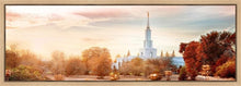 Load image into Gallery viewer, Sacramento 06 Gallery Wrap
