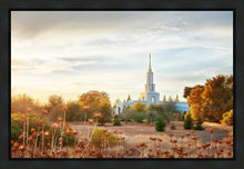 Load image into Gallery viewer, Sacramento 07 Gallery Wrap
