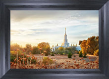 Load image into Gallery viewer, Sacramento 07
