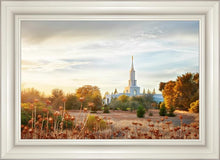 Load image into Gallery viewer, Sacramento 07
