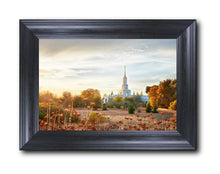 Load image into Gallery viewer, Sacramento 07
