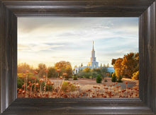 Load image into Gallery viewer, Sacramento 07
