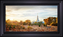 Load image into Gallery viewer, Sacramento 07
