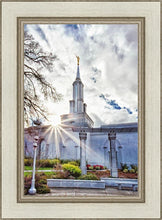 Load image into Gallery viewer, Sacramento 09

