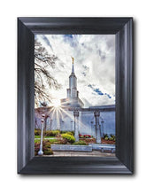 Load image into Gallery viewer, Sacramento 09

