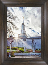 Load image into Gallery viewer, Sacramento 09
