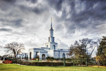 Load image into Gallery viewer, Sacramento 12
