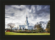 Load image into Gallery viewer, Sacramento 12
