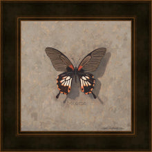 Load image into Gallery viewer, Become Monarch
