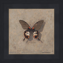 Load image into Gallery viewer, Become Monarch
