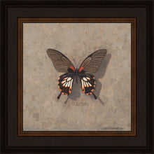 Load image into Gallery viewer, Become Monarch
