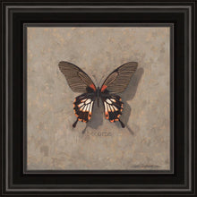 Load image into Gallery viewer, Become Monarch
