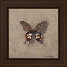 Load image into Gallery viewer, Become Monarch

