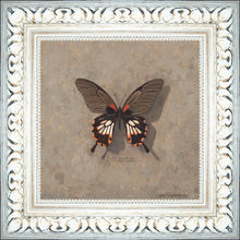 Load image into Gallery viewer, Become Monarch
