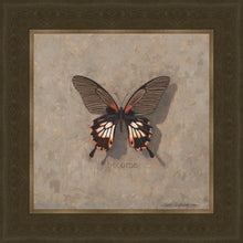 Load image into Gallery viewer, Become Monarch
