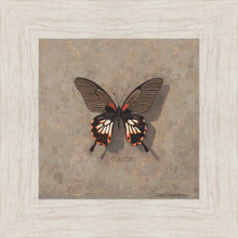 Load image into Gallery viewer, Become Monarch
