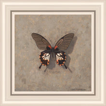Load image into Gallery viewer, Become Monarch
