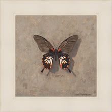 Load image into Gallery viewer, Become Monarch
