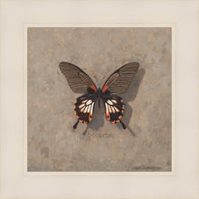 Load image into Gallery viewer, Become Monarch
