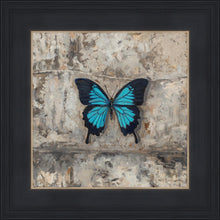 Load image into Gallery viewer, Become Procilla Beauty
