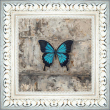 Load image into Gallery viewer, Become Procilla Beauty
